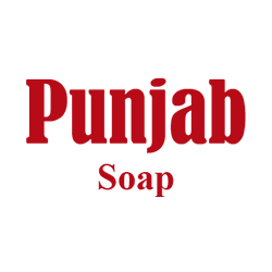 Punjab Soap